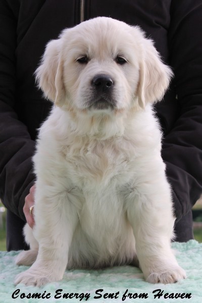 Mr Green 7 Weeks_1.jpg